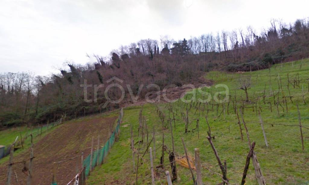 Terreno Agricolo in vendita a Montegrotto Terme via Monte Venda, 2