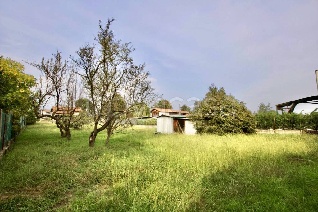 immagine annuncio 5 di 14