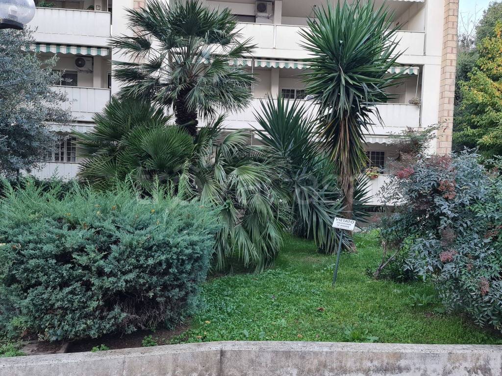 Appartamento in in vendita da privato a Caserta via Antonio Marino, 11