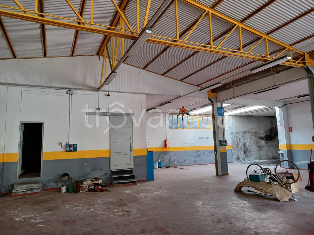 immagine annuncio 10 di 15