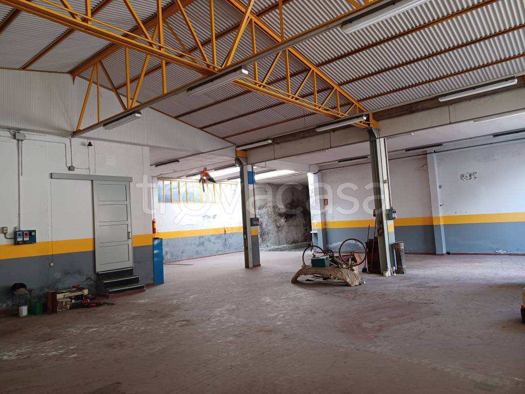 immagine annuncio 12 di 15