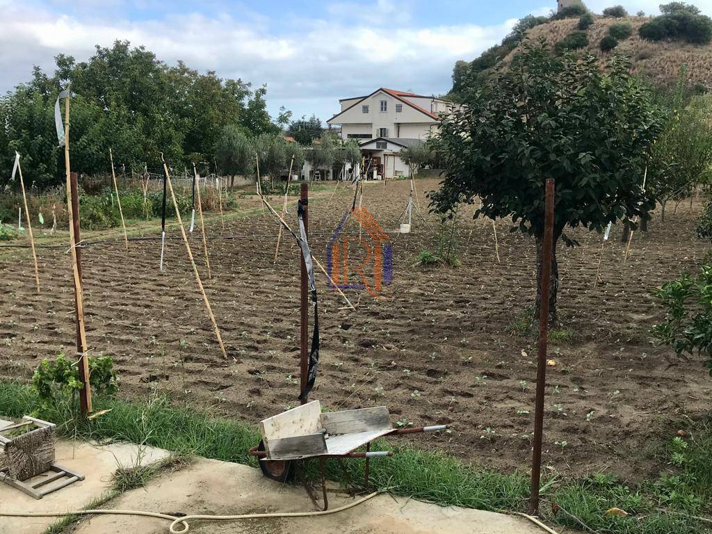 immagine annuncio 4 di 7