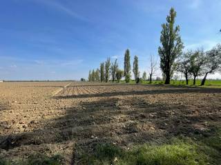 Terreno agricolo in vendita a bastiglia via san clemente