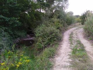 Terreno agricolo in vendita a rende contrada cucchiano