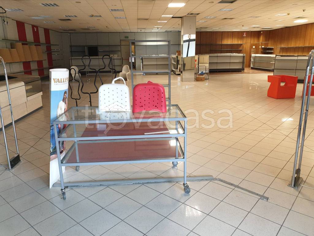 immagine annuncio 2 di 6