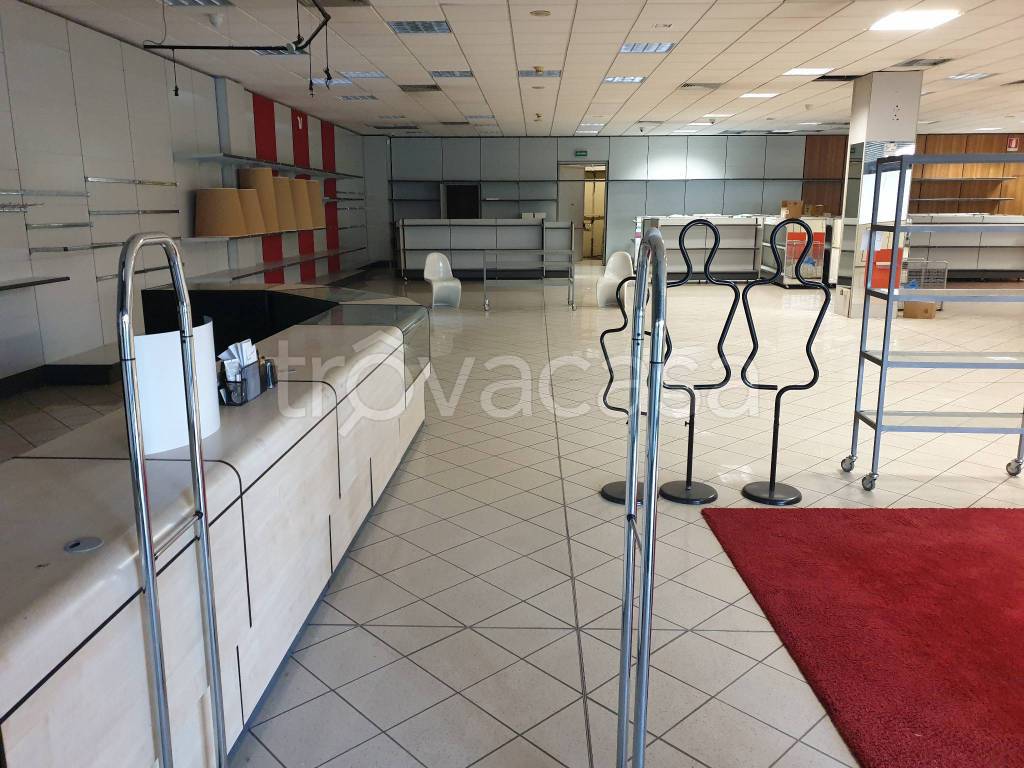 immagine annuncio 4 di 6