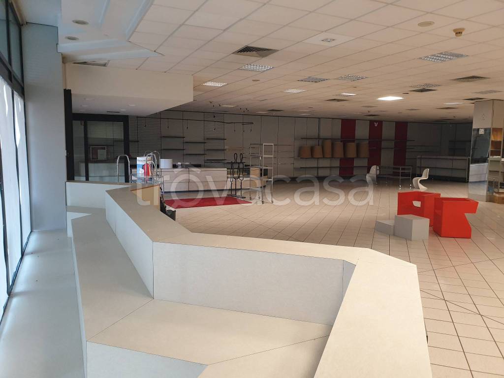 immagine annuncio 5 di 6