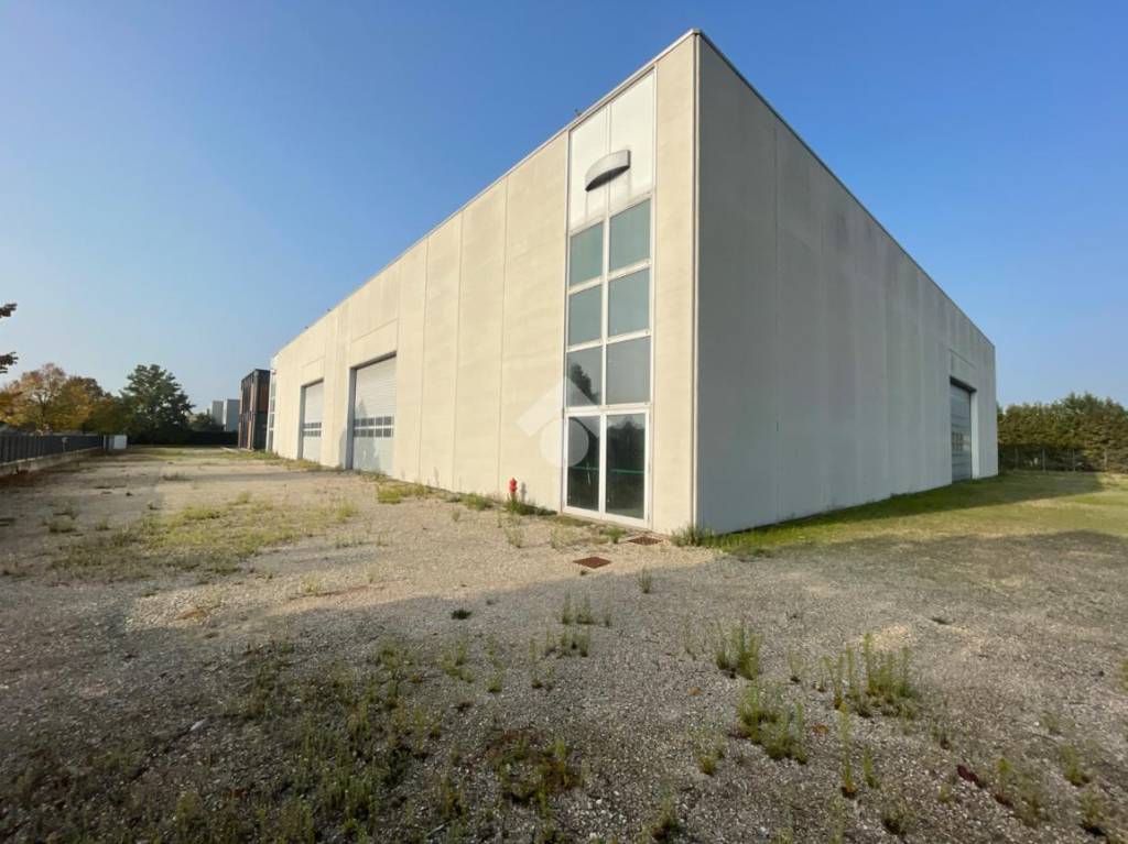 immagine annuncio 2 di 15