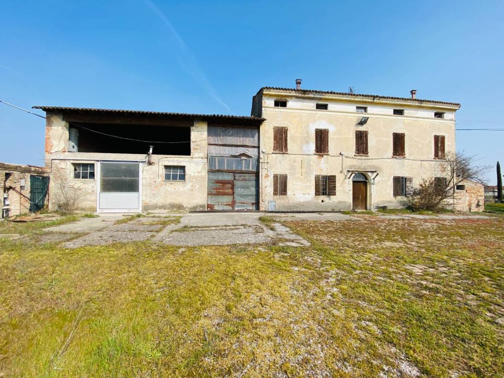 immagine annuncio 3 di 11