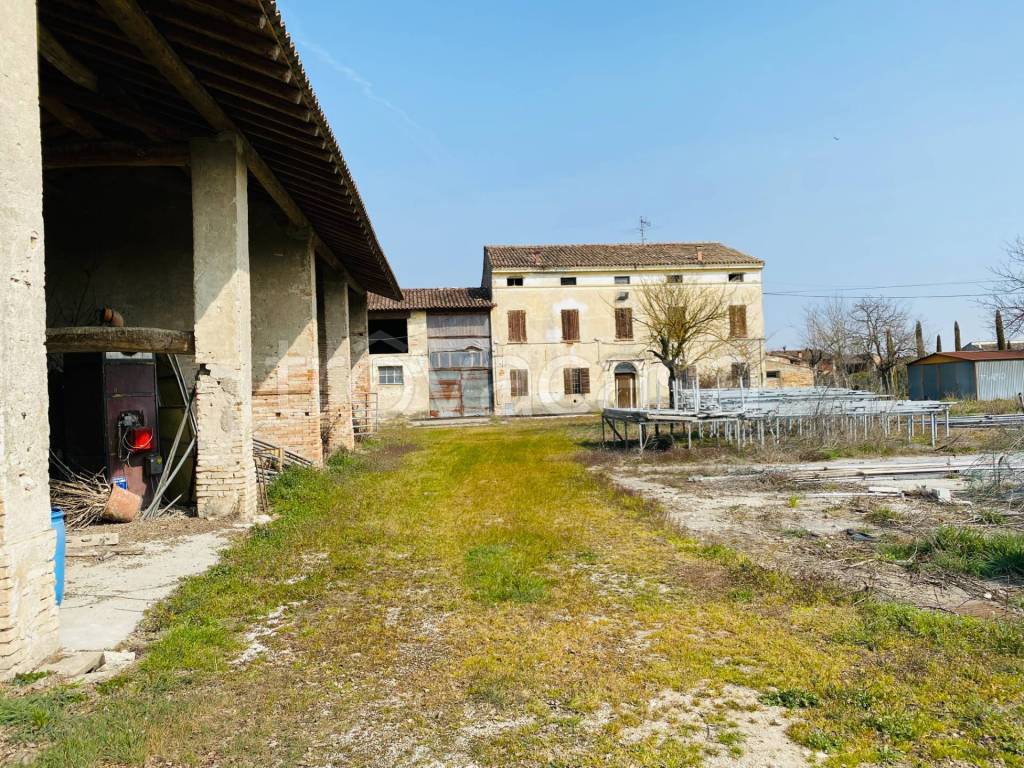 immagine annuncio 5 di 11