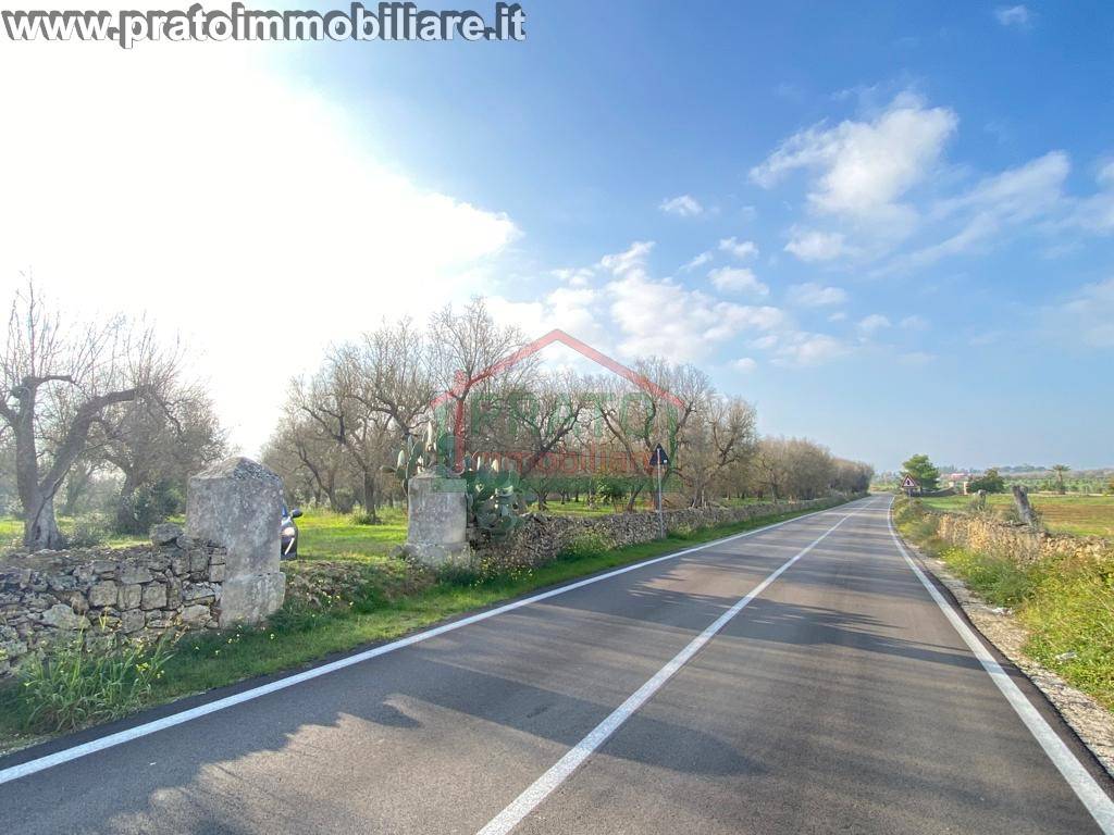 immagine annuncio 10 di 12