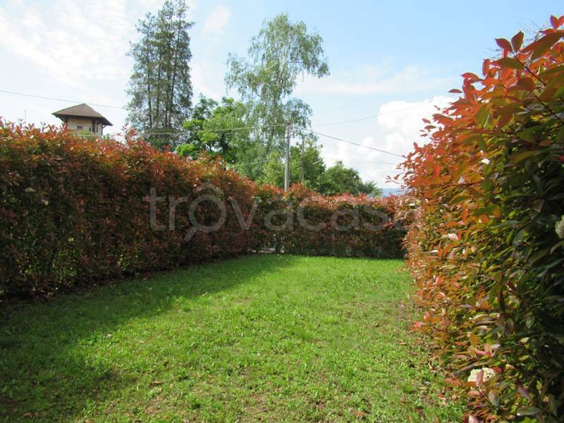 immagine annuncio 1 di 8