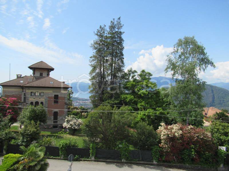 immagine annuncio 4 di 8