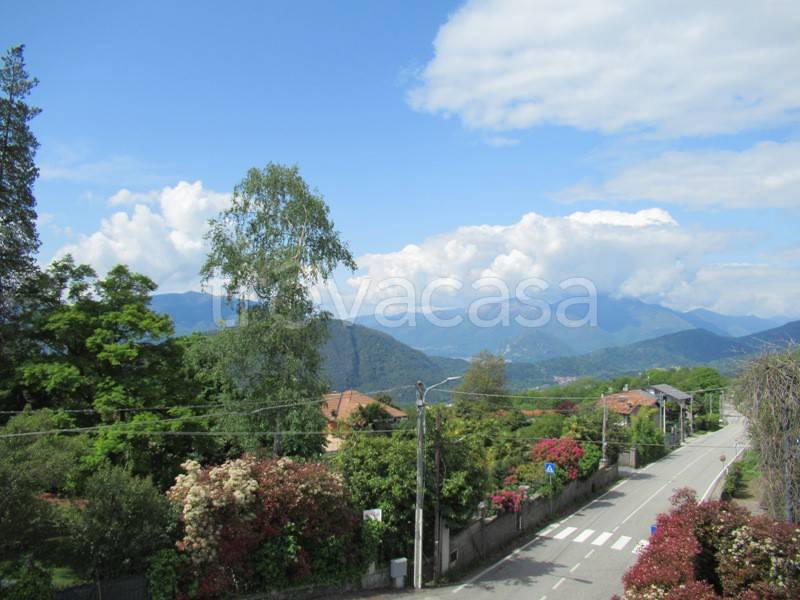 immagine annuncio 6 di 8