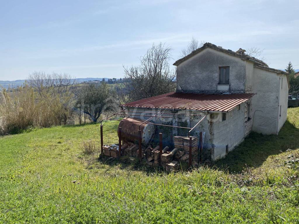 immagine annuncio 4 di 14