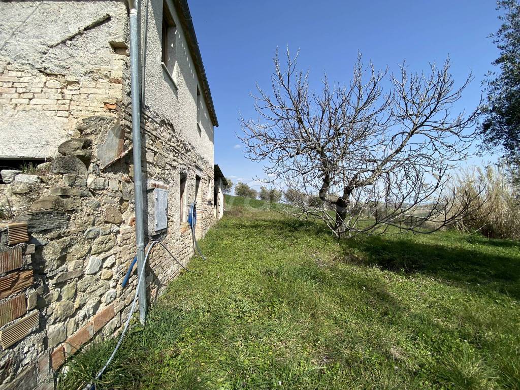 immagine annuncio 7 di 14