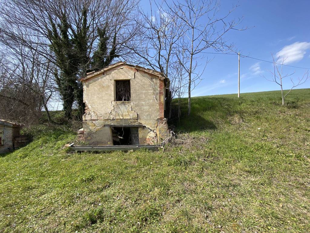 immagine annuncio 12 di 14