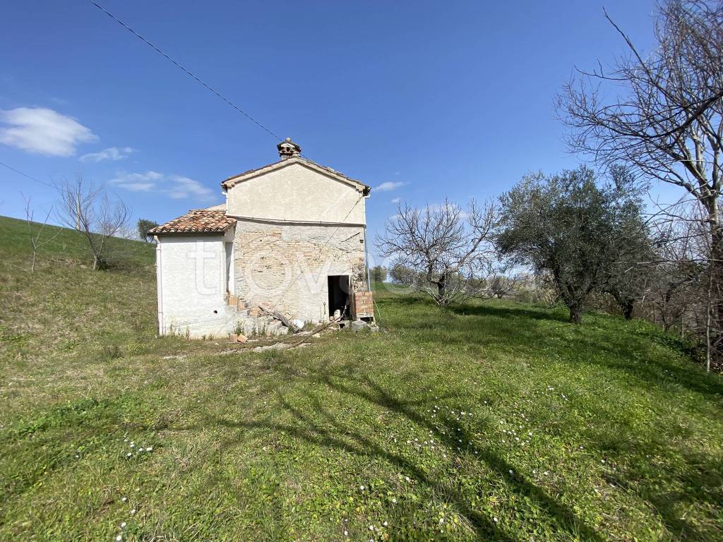 immagine annuncio 13 di 14