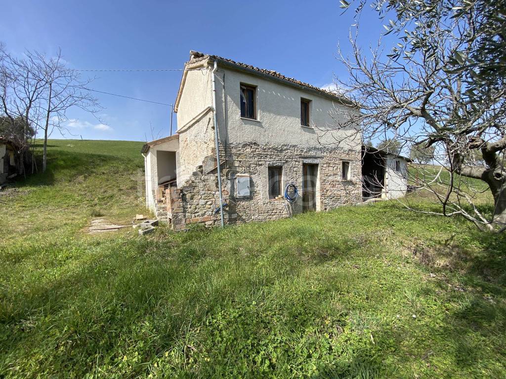 immagine annuncio 5 di 14