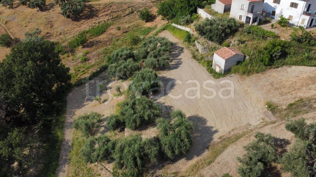 Terreno Agricolo in vendita a Belvedere Marittimo contrada Olivella