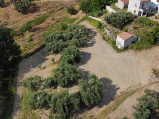 Terreno agricolo in vendita a belvedere marittimo contrada olivella