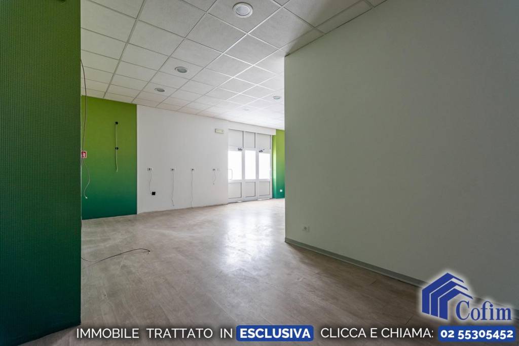 immagine annuncio 11 di 14