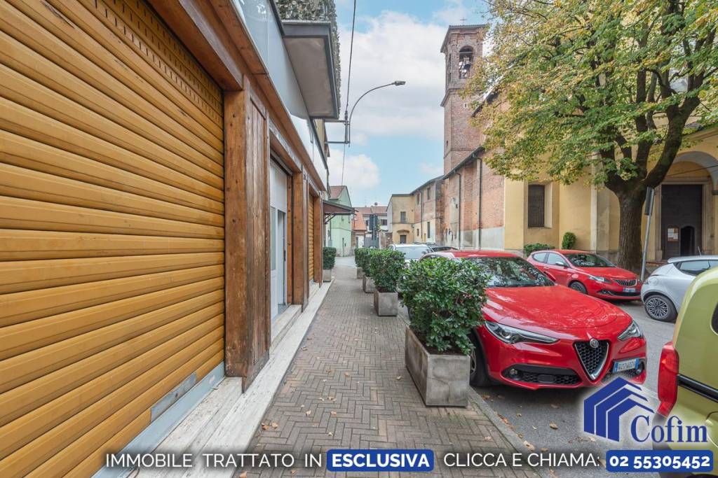 immagine annuncio 2 di 14