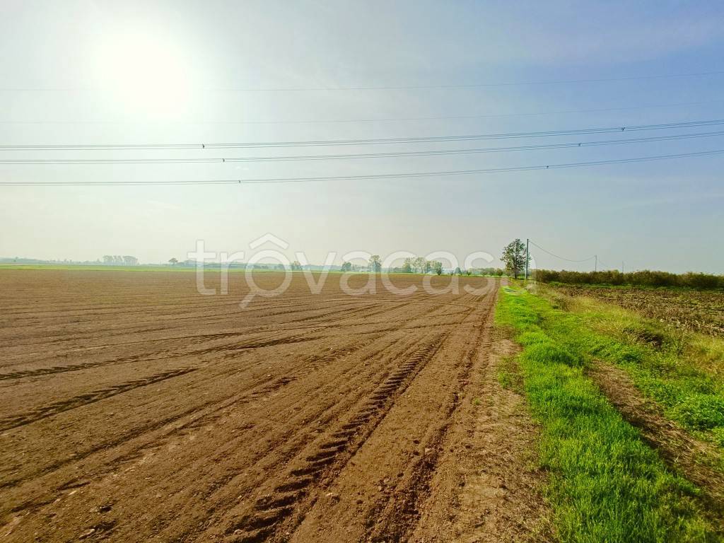 Terreno Agricolo in vendita a Narzole sp3