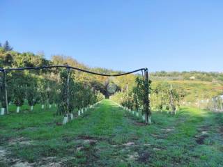 Terreno agricolo in vendita a cesena via casale