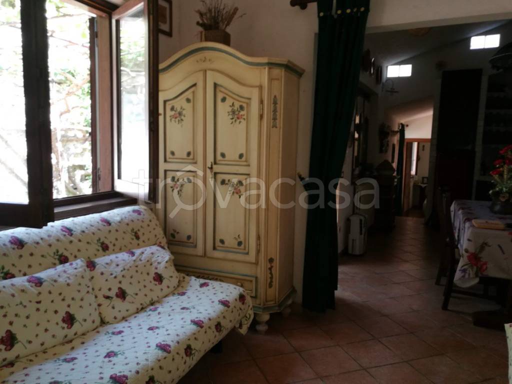 immagine annuncio 6 di 13