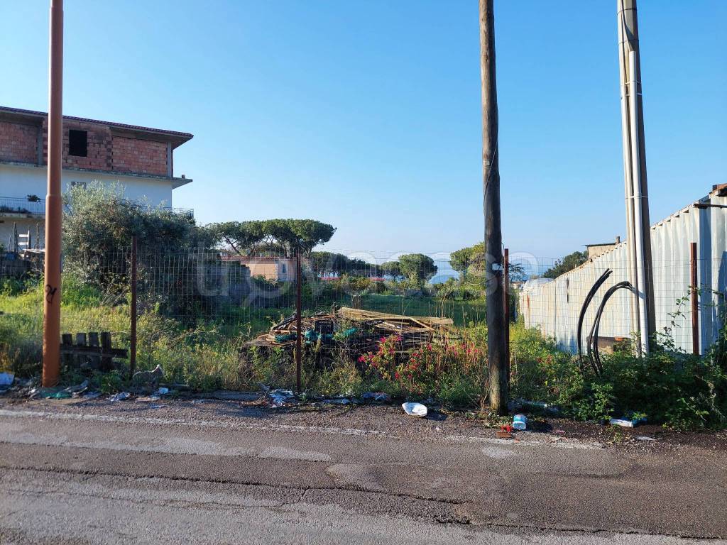immagine annuncio 4 di 6