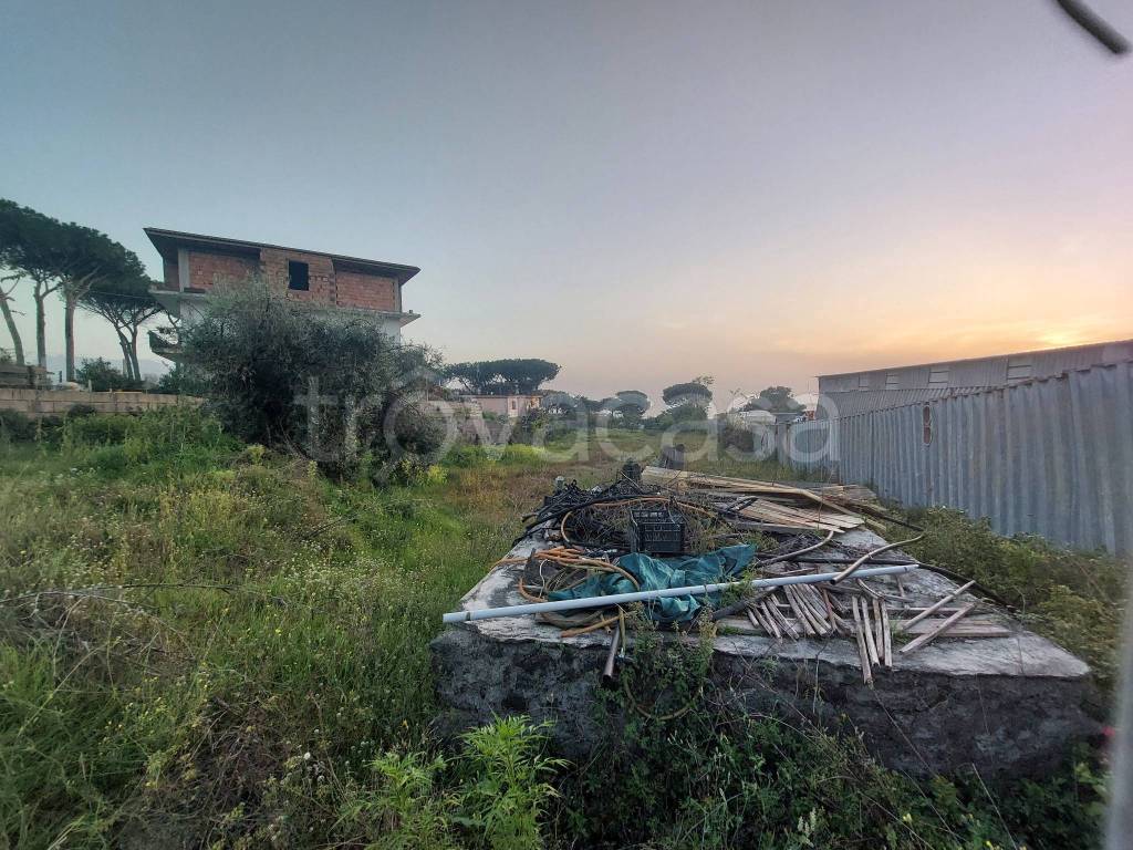 immagine annuncio 5 di 6
