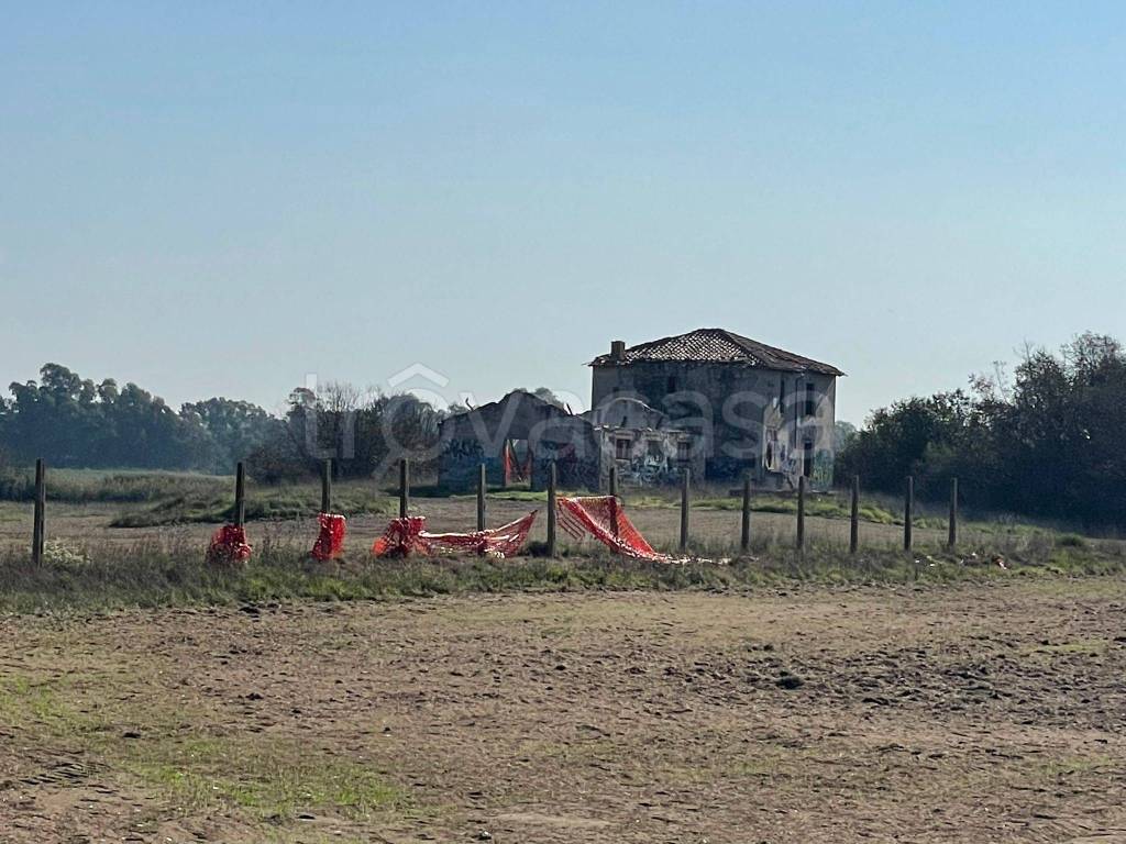 immagine annuncio 4 di 7
