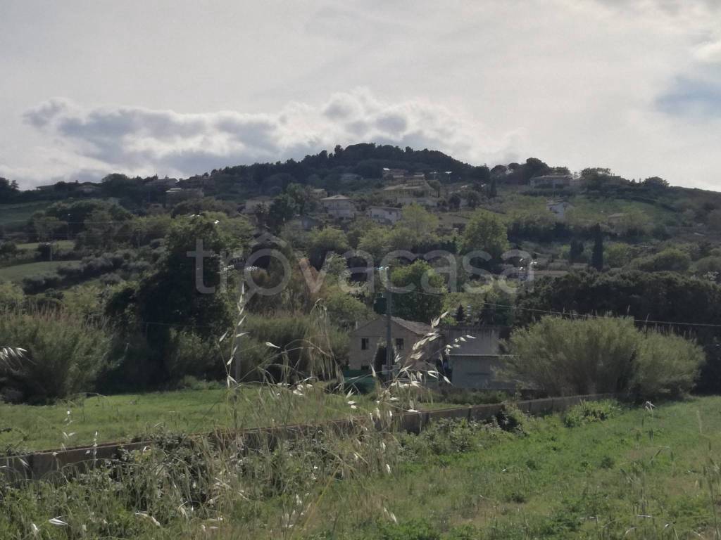 immagine annuncio 2 di 8