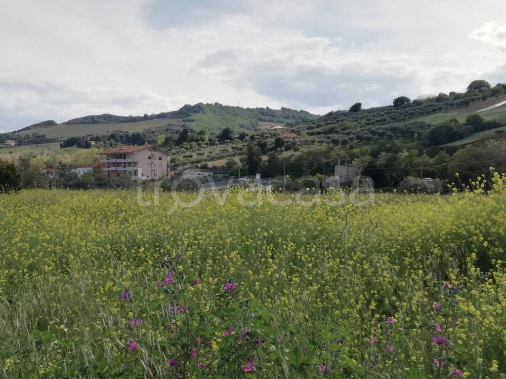 immagine annuncio 4 di 8