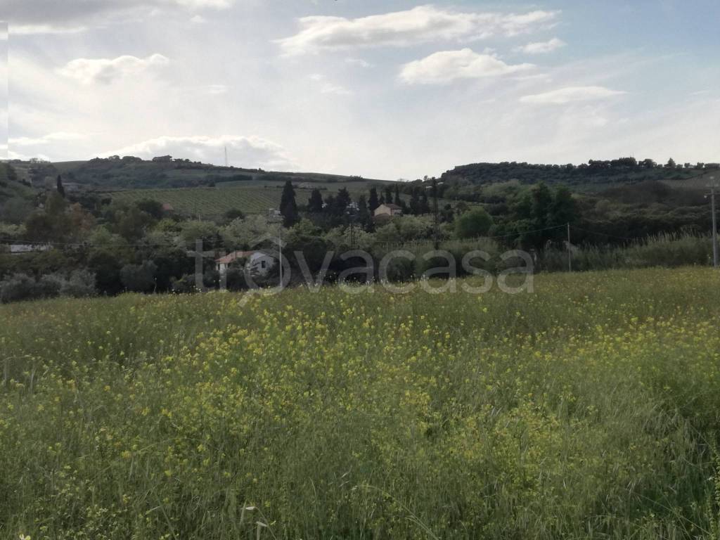 immagine annuncio 5 di 8