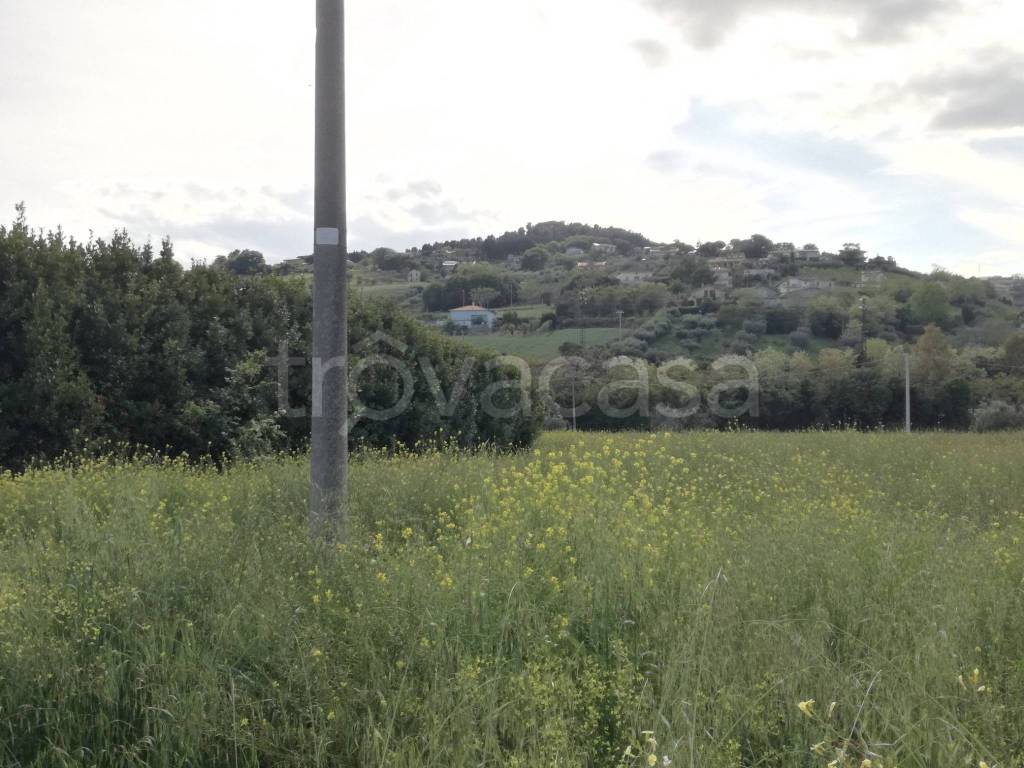 immagine annuncio 6 di 8