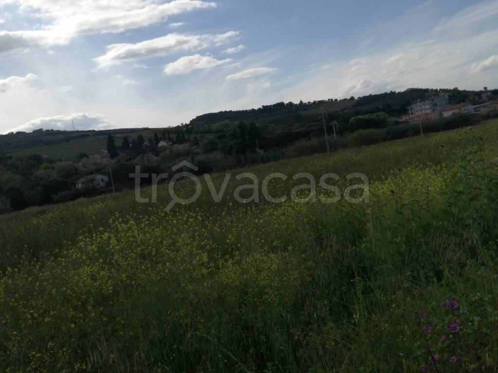 immagine annuncio 7 di 8