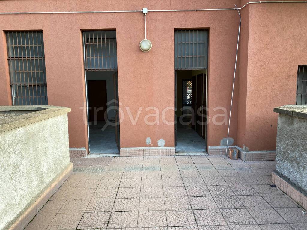 immagine annuncio 12 di 14