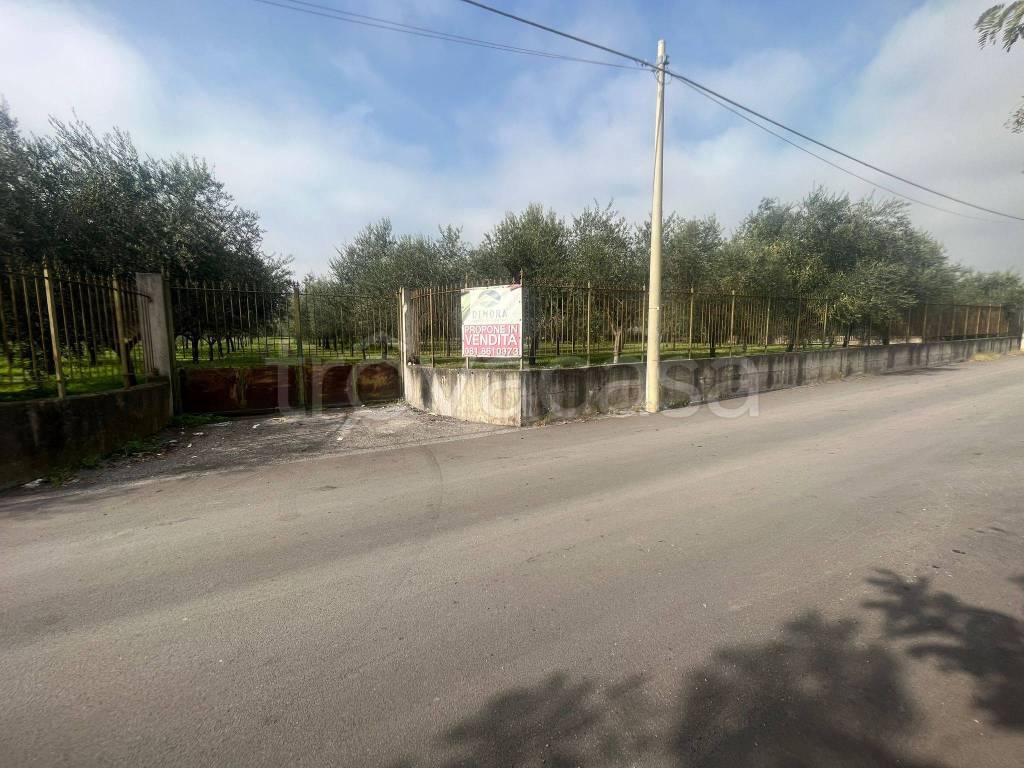 immagine annuncio 10 di 14