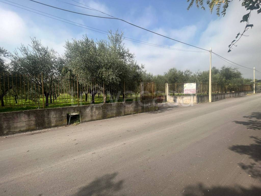 immagine annuncio 9 di 14