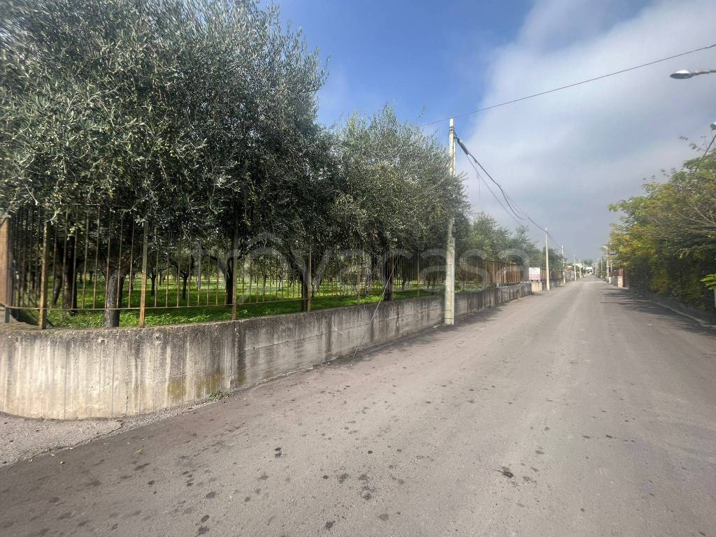 immagine annuncio 11 di 14