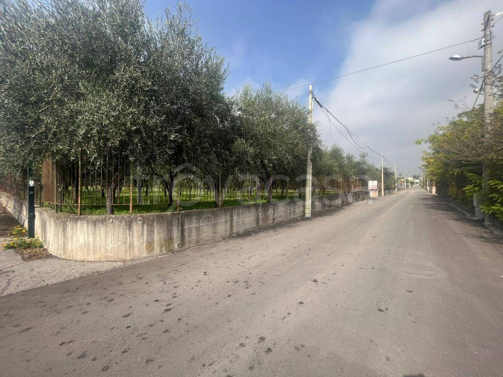 immagine annuncio 13 di 14