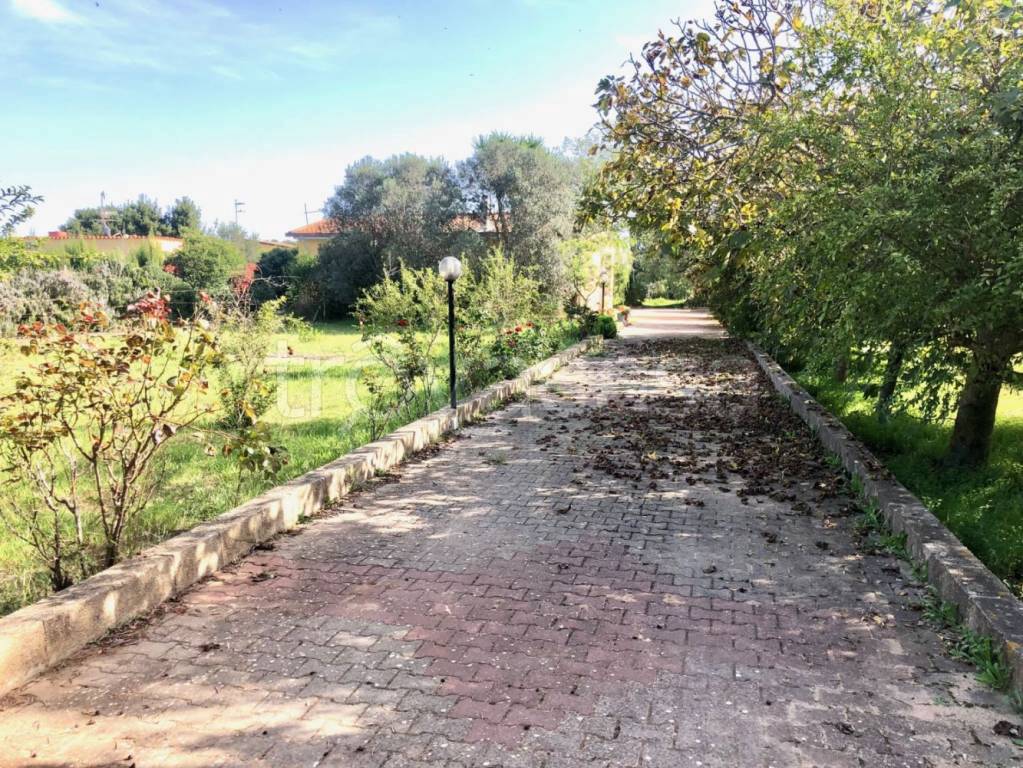 immagine annuncio 10 di 11