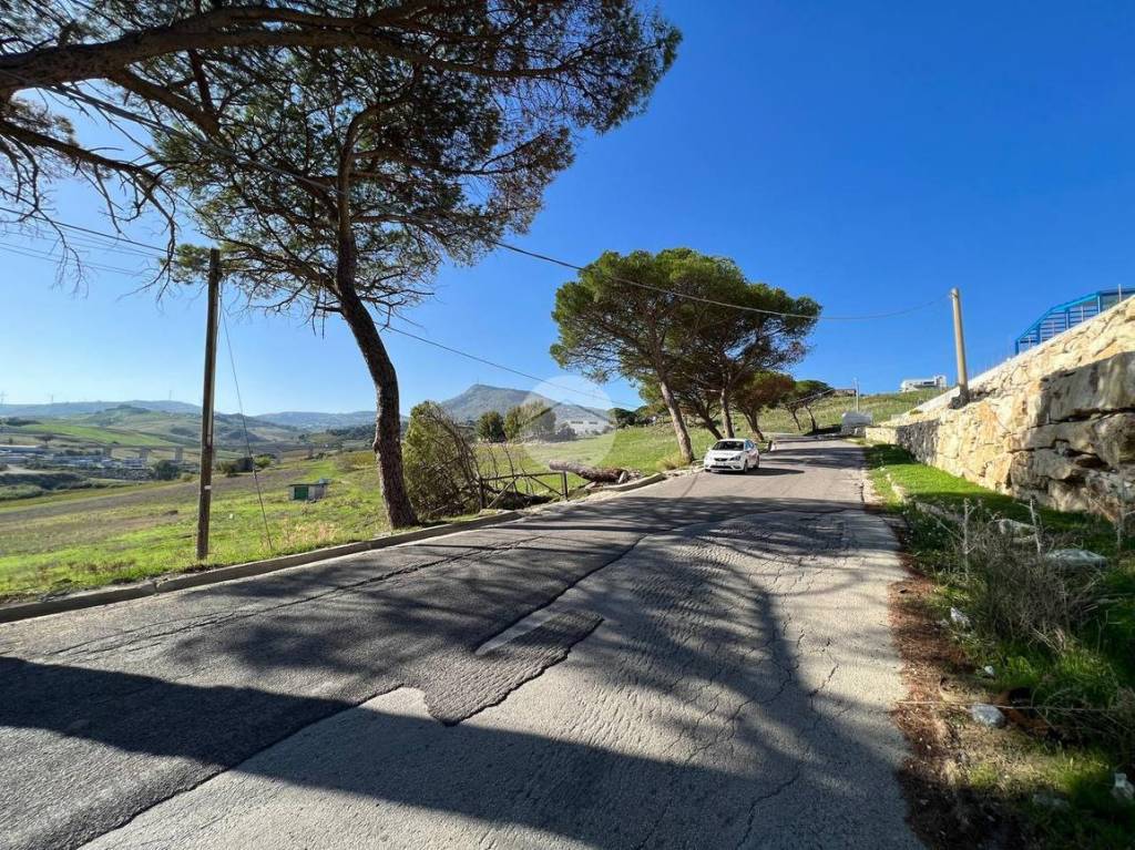 immagine annuncio 11 di 14