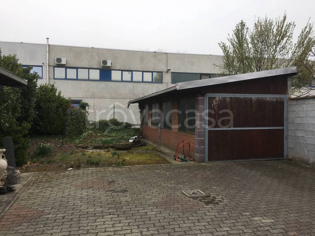 immagine annuncio 3 di 15