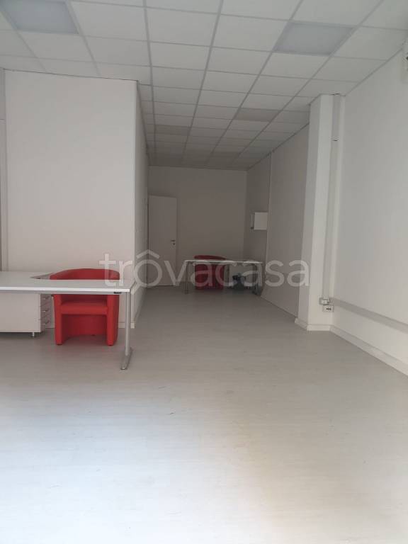 immagine annuncio 2 di 8