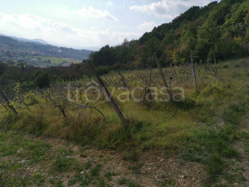 Terreno Agricolo in vendita a Prata di Principato Ultra via Bosco Bottazzo