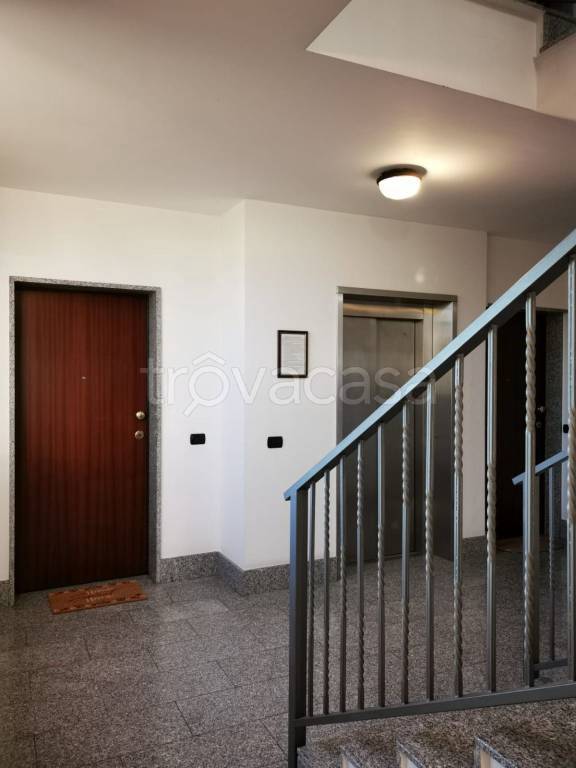 immagine annuncio 2 di 3
