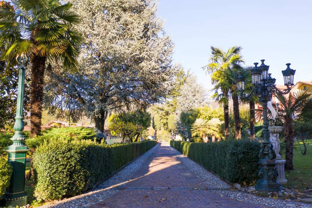 immagine annuncio 13 di 15